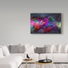 Trademark Fine Art Ata Alishahi 'Color Explosion M9' Canvas Art, 12x19 ALI22416-C1219GG